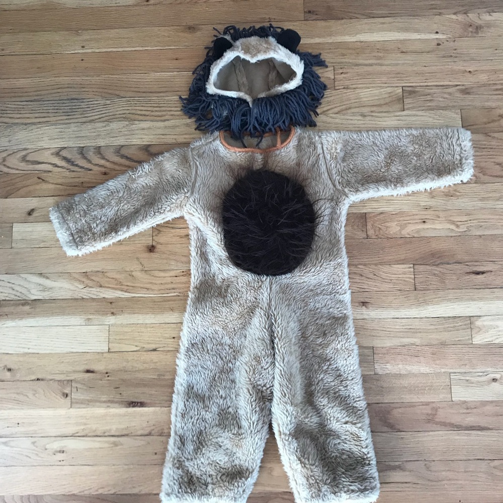 Plush Lion Halloween Costume 2T